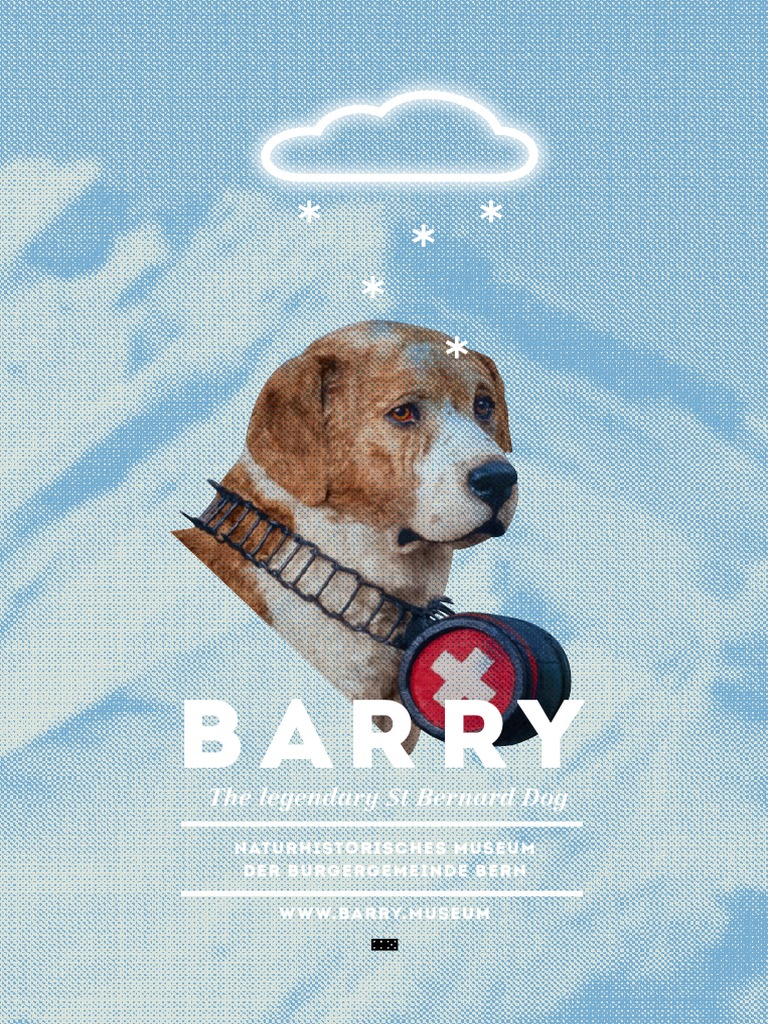 ST Bernard Dog | PDF | Dogs | Domesticated Animals, image size:768x1024