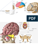 Presentation1.pptx