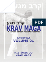 TUDO SOBRE O KRAV MAGA.pdf