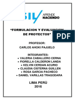 Formulacion y Evaluacion de Proyectos 