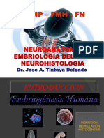 Embrio Neuro (1)