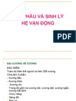 He Van Dong