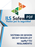 Sistema de Gestion de SSo Segun Ley 29783