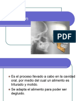 masticacion.pdf
