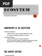 Components of An Ecosystem