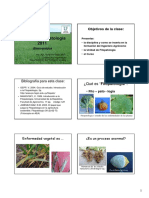 Introduccion2011.pdf
