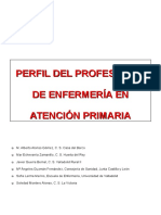 Perfil Profesional Enfermeria