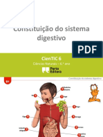 4 Sistema Digestivo