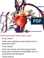 K3 Anatomi Pembuluh Daarh 2016