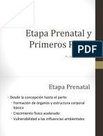 2 - 01 - Etapa Prenatal y Primeros Pasos