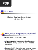 Proteins: What Do They Look Like and What Do They Do?