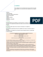 Estructura Del Reporte Cualitativo