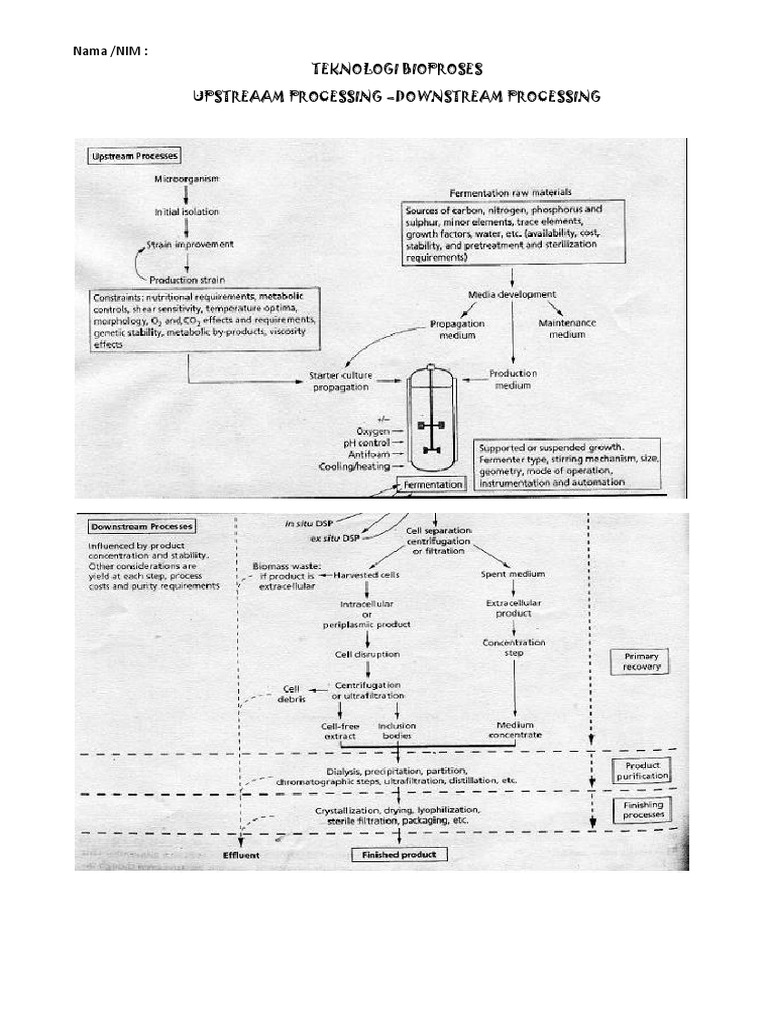 Downstream Processing in Bioprocess Tech | PDF | Computers | Technology ...