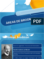 Areas de Brodmann
