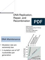 DNA Replication, Repair, and Recombination