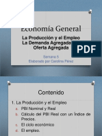 Economia General