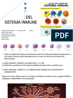 Equipo 3 Células Del Sistema Inmune PDF