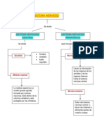 Sistema Nervioso Mapa Conceptual