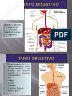 5.-APARATO DIGESTIVO