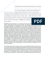 Diversidad Genética de La Comunidad Bacteriana y Hongos Micorrícicos Arbusculares en El Maíz Bajo Diferentes Fuentes de Fosfato