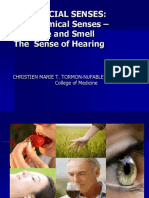 Hearing and Taste Sensations Explained