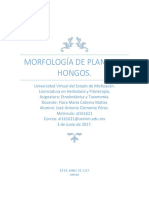 Morfologia de Plantas y Hongos