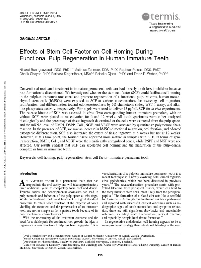 Effects of Stem Cell Factor On Cell Homing During Functional Pulp ...