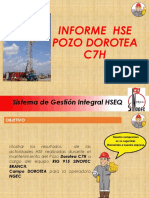 Informe HSE Pozo DC7H RIG 915-Enero 2019_V1