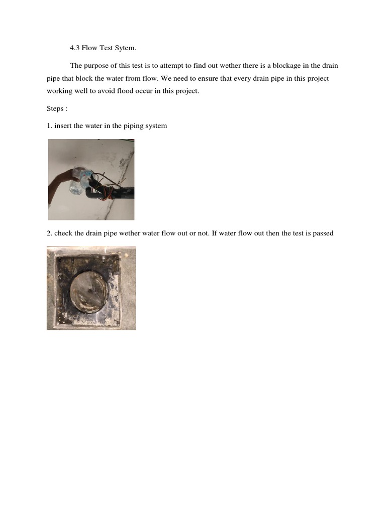 Flow Test | PDF