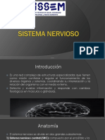 9.- Sistema Nervioso (3)