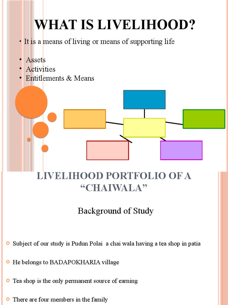 Rural Livelihood Challenges | PDF