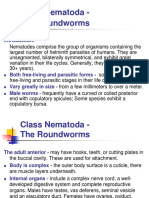 Parasit Nematodes Summer 2012