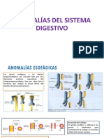 Anomalias Del Sistema Digestivo