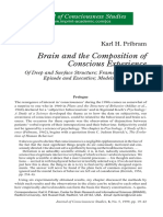 Pribram JCS1999 PDF