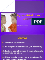 Presentación Agresividad Infantil Actualizada