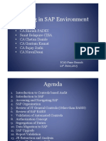 SAP-Environment.pdf