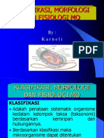 Klasifikasi, Morfologi Dan Fisiologi Mo-1