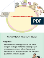 Hamil Resiko Tinggi