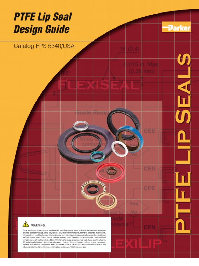 SEALS Lip PDF PDF Piston Corrosion