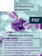 Types of Bacteria and Archaebacteria