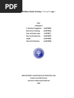 Download KUMIS KUCING by Angela Anggie SN42911882 doc pdf