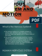 Nervous System and Motion
