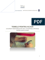 Raport_Teme-acasa_final.pdf