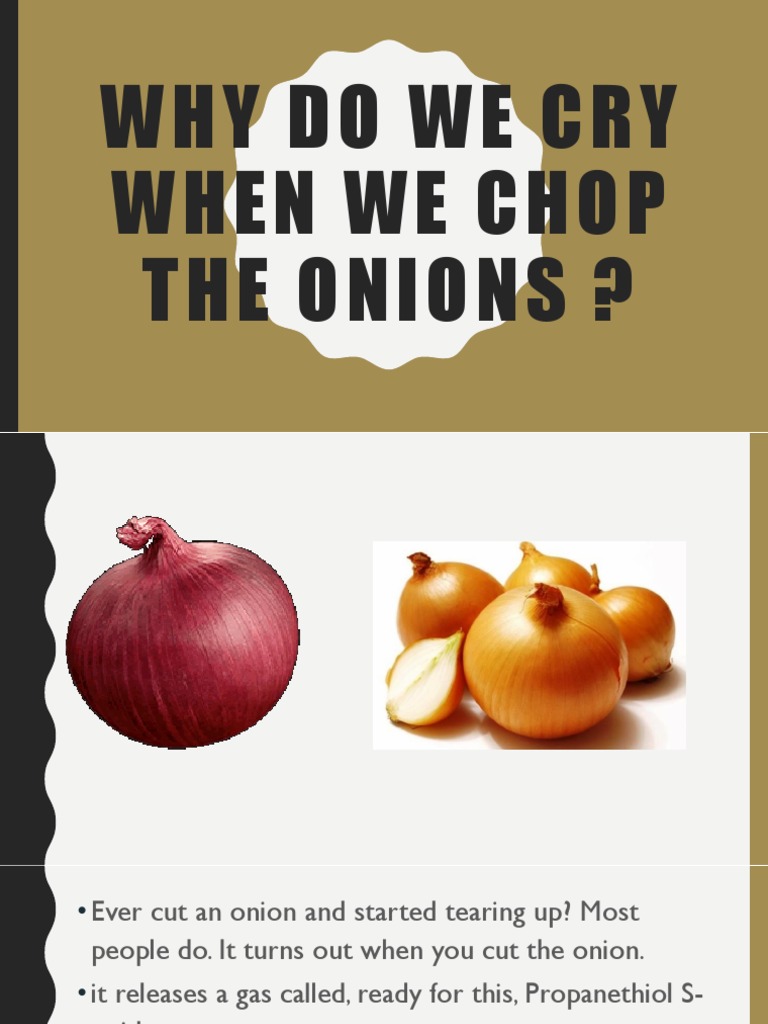 Why Do We Cry When We Chop The PDF