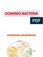 Bacterias