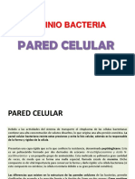 Bacterias-Pared Celular-Coloraciones Específicas.pdf