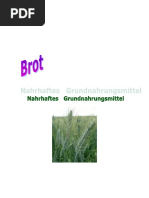 Grundnahrungsmittel Brot Blog