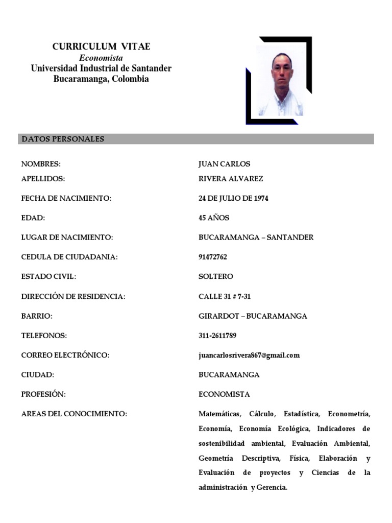 Curriculum vitae examples pdf picture
