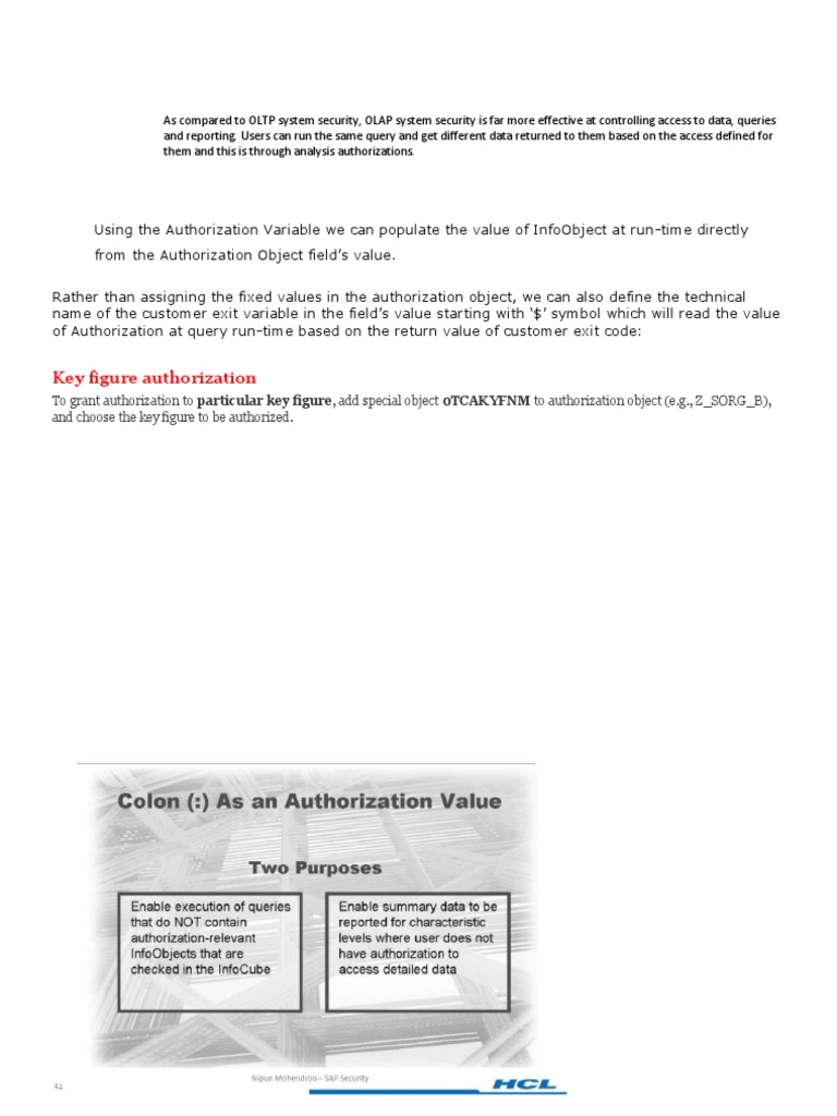 Key Figure Authorization | PDF
