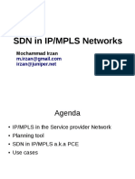SDN in IP/MPLS Networks: Mochammad Irzan